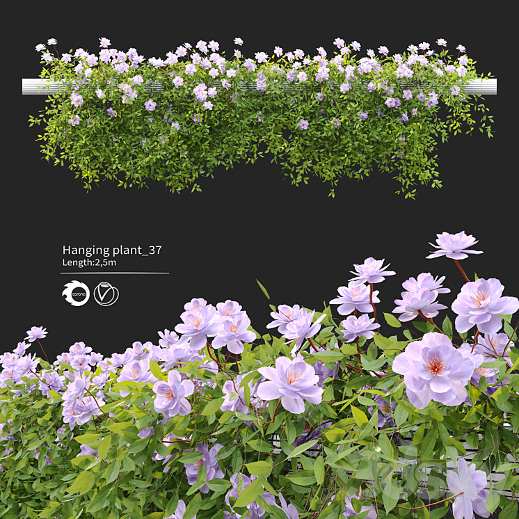 Hanging Plant 37 3DS Max Model - thumbnail 1