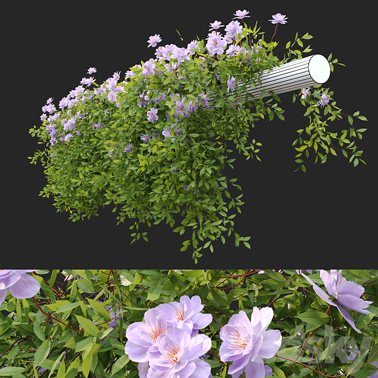 Hanging Plant 37 3DS Max Model - thumbnail 2