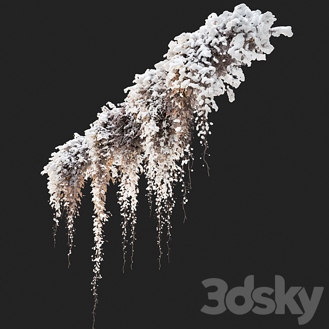 Hanging plant 40 3DS Max Model - thumbnail 2