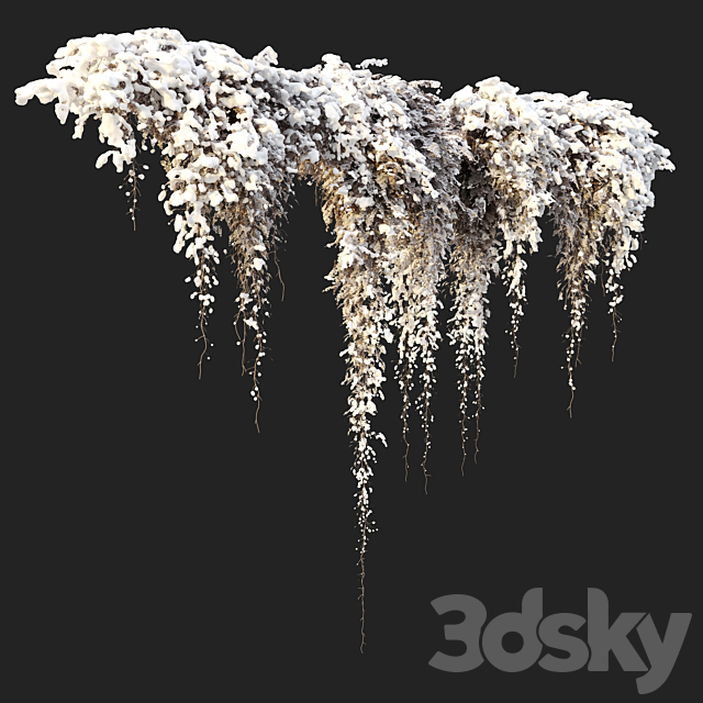 Hanging plant 40 3DS Max Model - thumbnail 3