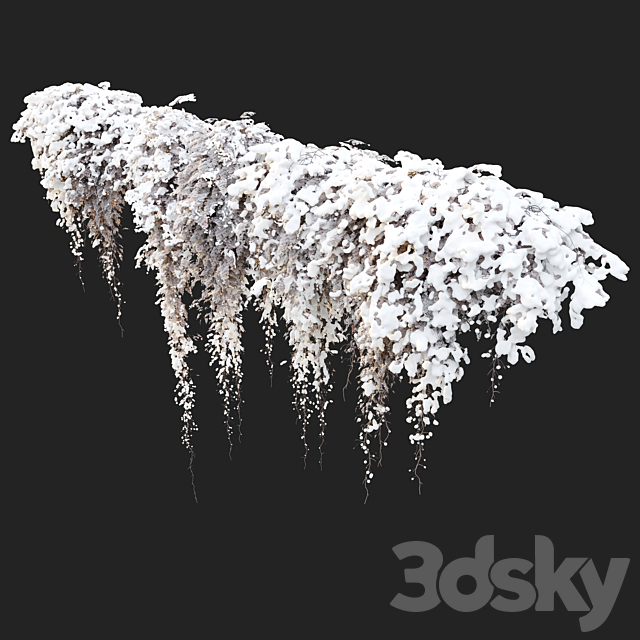 Hanging plant 40 3DS Max Model - thumbnail 4