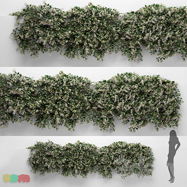 Hanging Plant – ChoisyaTernata – 3 Modular Pieces 3ds Max - thumbnail 1