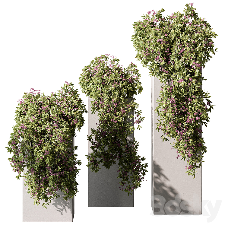 Hanging Plant in Box – Outdoor Plants 454 3DS Max Model - thumbnail 1