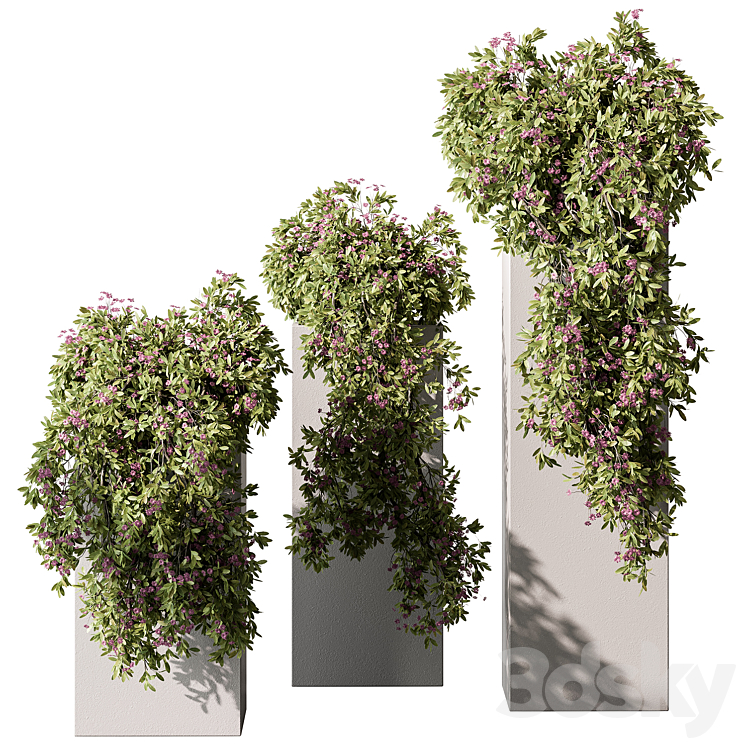 Hanging Plant in Box – Outdoor Plants 454 3DS Max - thumbnail 1