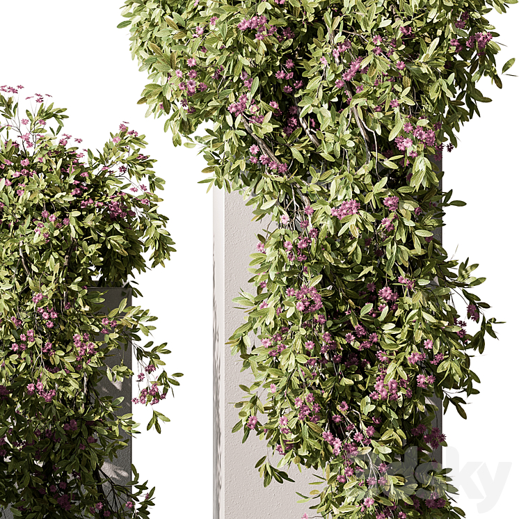 Hanging Plant in Box – Outdoor Plants 454 3DS Max - thumbnail 2