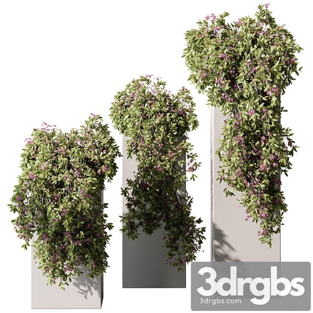 Hanging Plant in Box Outdoor Plants 454 3dsmax Download - thumbnail 1