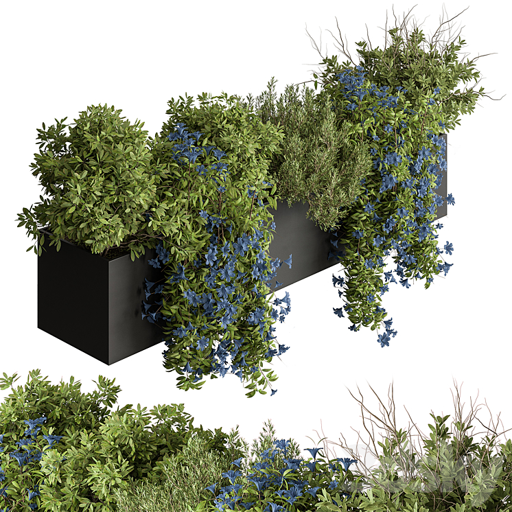 Hanging Plant – Outdoor Plants 503 3DS Max Model - thumbnail 1