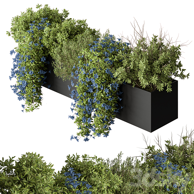 Hanging Plant – Outdoor Plants 503 3DS Max Model - thumbnail 2