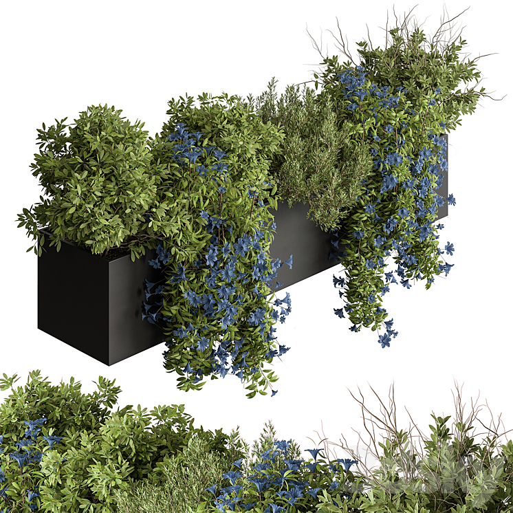 Hanging Plant – Outdoor Plants 503 3DS Max - thumbnail 1