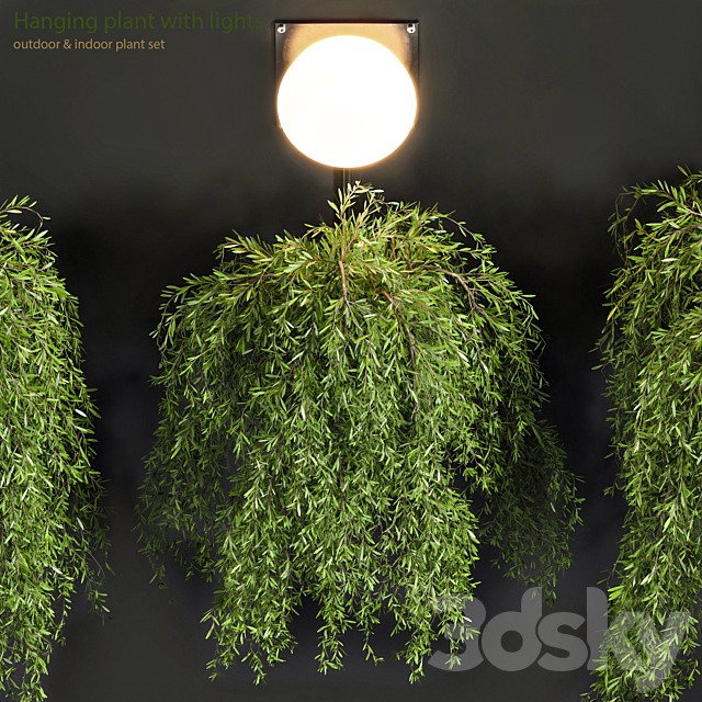 Hanging Plant with Lights 3DS Max Model - thumbnail 2