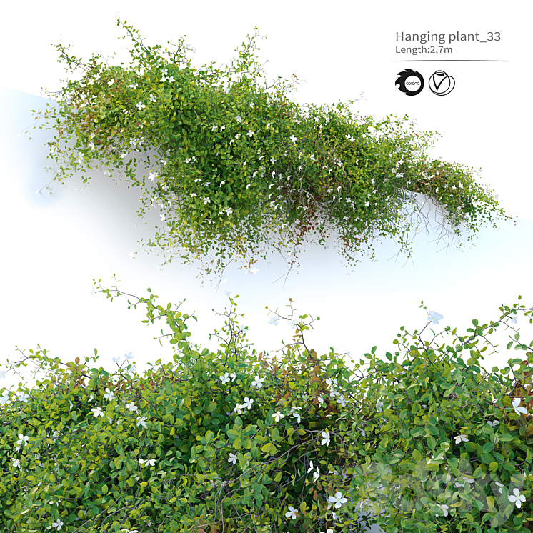 Hanging plant_33 3DS Max Model - thumbnail 1