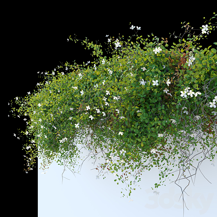 Hanging plant_33 3DS Max Model - thumbnail 2