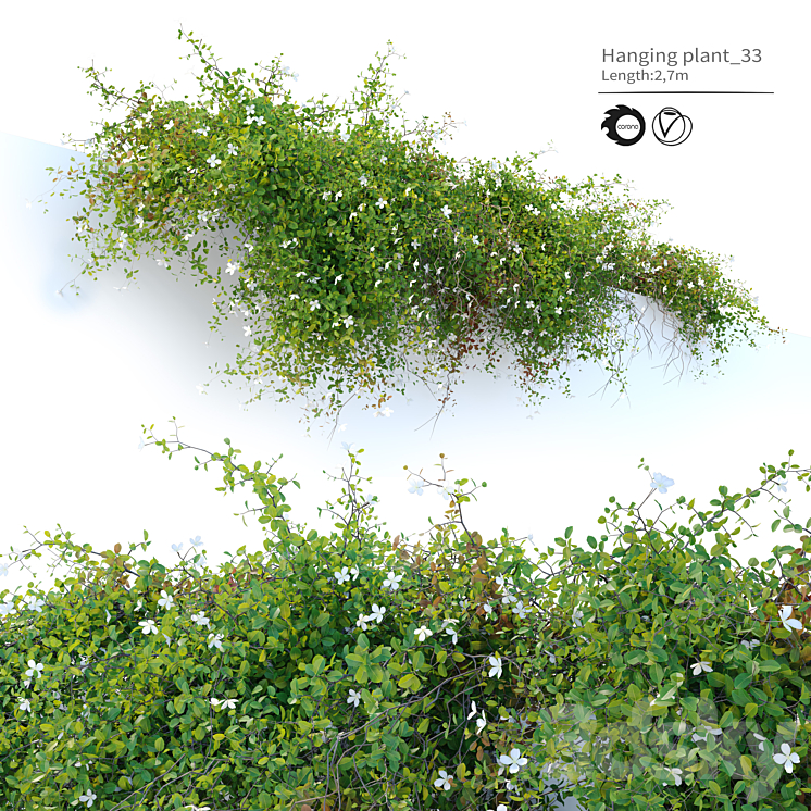 Hanging plant_33 3DS Max - thumbnail 1