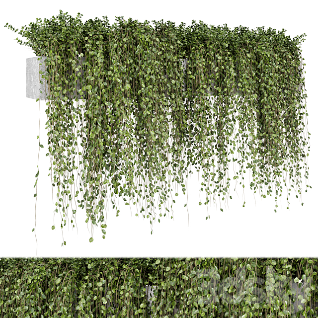 Hanging Plants in rusty Concrete Pot – Set 509 3ds Max - thumbnail 2