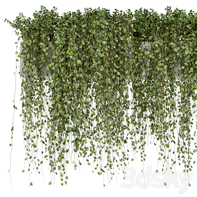 Hanging Plants in rusty Concrete Pot – Set 509 3ds Max - thumbnail 3