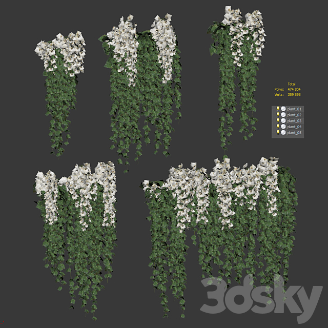 Hanging plants with white orchid flowers 3DS Max Model - thumbnail 3