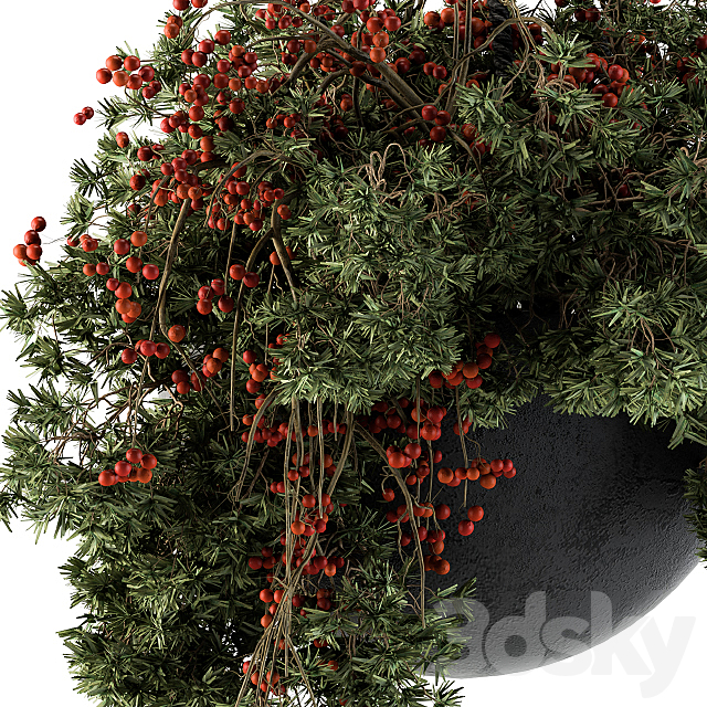 Hanging Pot plant – Set 102 3DS Max Model - thumbnail 2