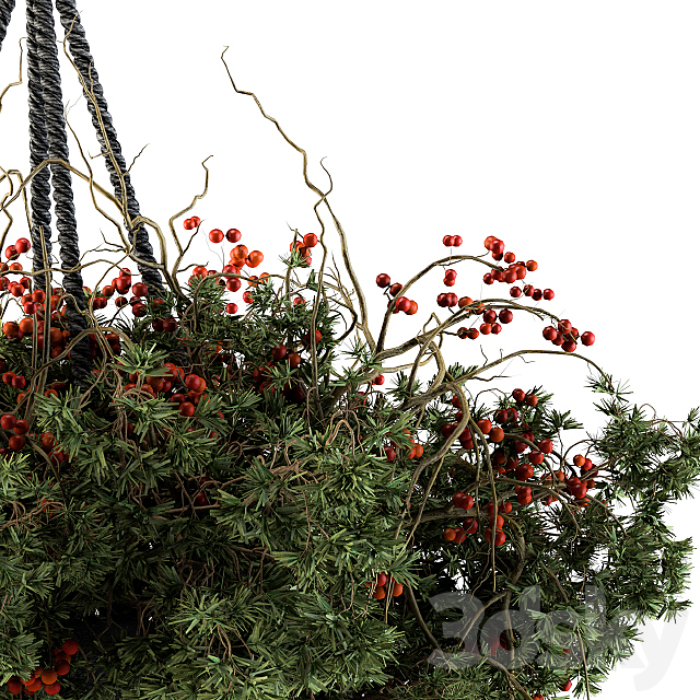 Hanging Pot plant – Set 102 3DS Max Model - thumbnail 3