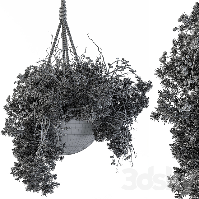 Hanging Pot plant – Set 102 3DS Max Model - thumbnail 4