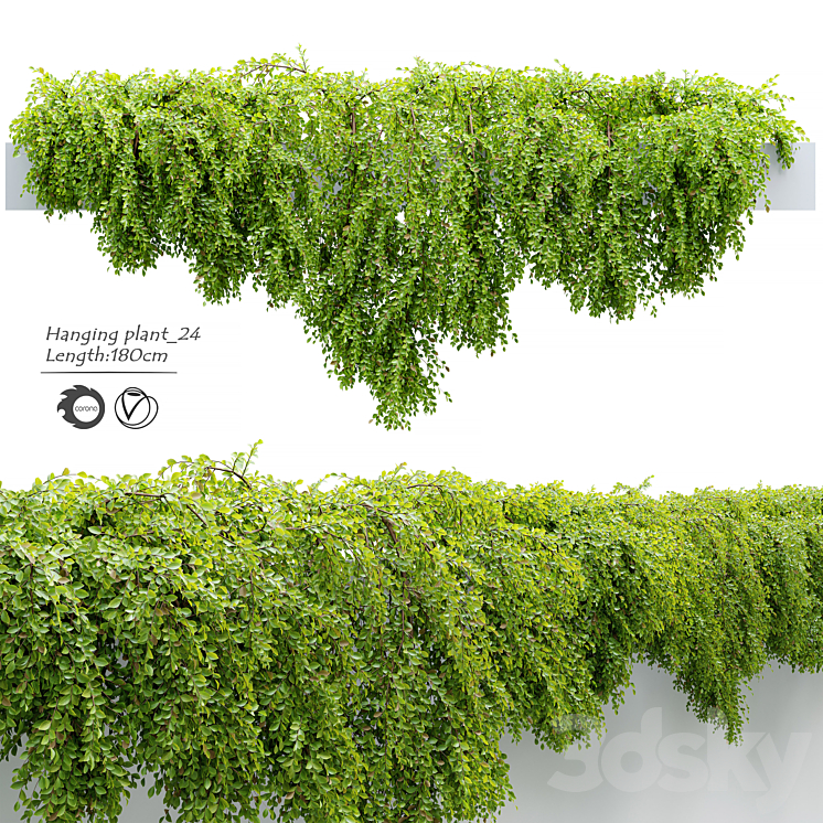 Hanging_Plant_24 3DS Max Model - thumbnail 1
