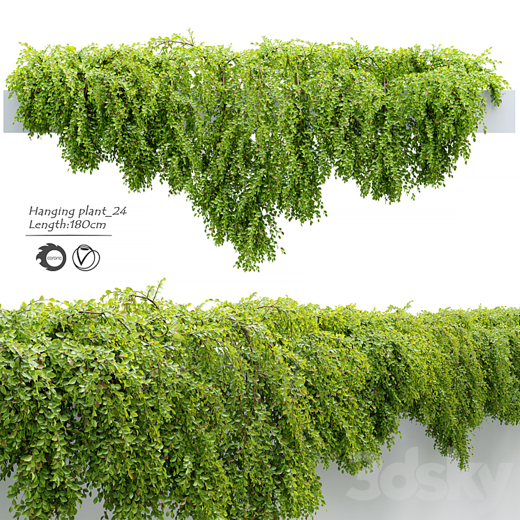 Hanging_Plant_24 3DS Max - thumbnail 1