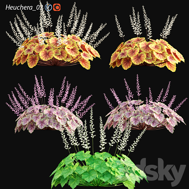 Heuchera – Coral Bells 02 3ds Max - thumbnail 1