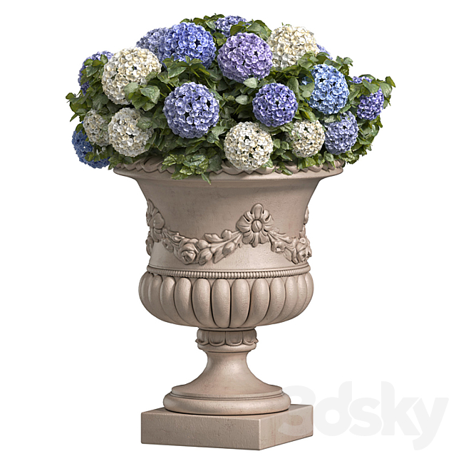 Hydrangea in a classic vase for decoration facade.Flowers Garden Plant Flowerpot Patio 3ds Max - thumbnail 1