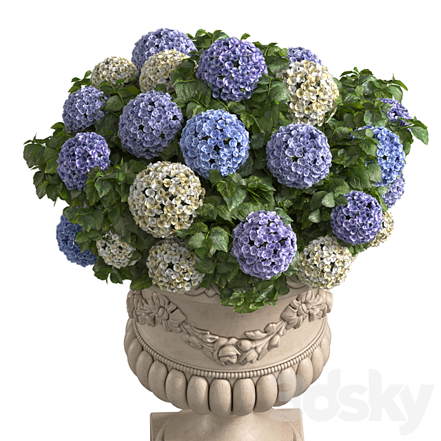 Hydrangea in a classic vase for decoration facade.Flowers Garden Plant Flowerpot Patio 3ds Max - thumbnail 2