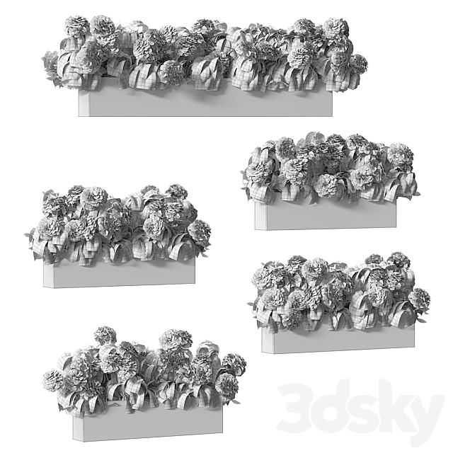 Hydrangea plant in a flowerpot for the facade. 5 models 3ds Max - thumbnail 2