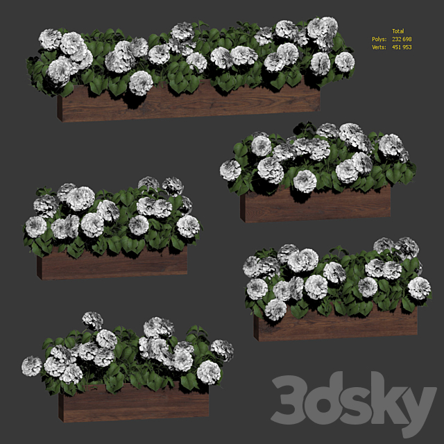 Hydrangea plant in a flowerpot for the facade. 5 models 3ds Max - thumbnail 3