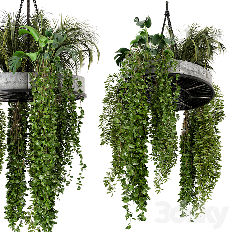 Indoor Hanging Plants in Metal Box – Set 86 3DS Max - thumbnail 1