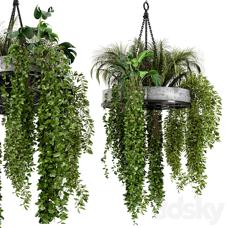 Indoor Hanging Plants in Metal Box – Set 86 3DS Max - thumbnail 2