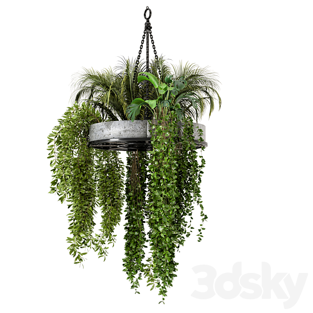 Indoor Hanging Plants in Metal Box – Set 86 3DSMax File - thumbnail 4