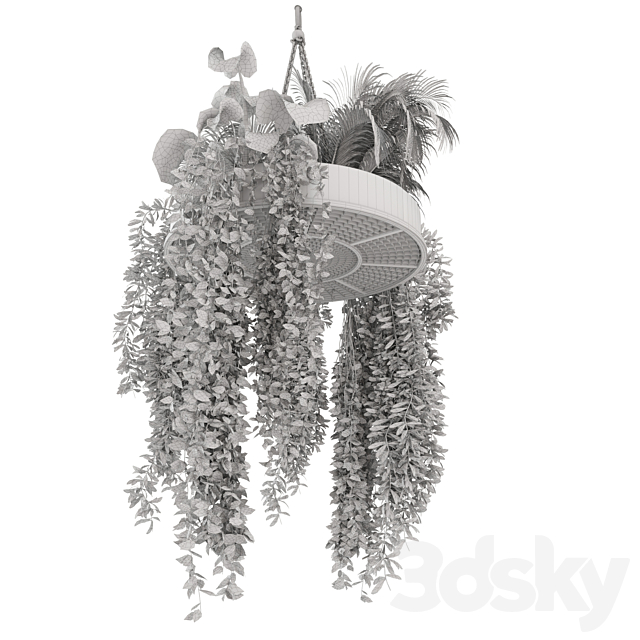 Indoor Hanging Plants in Metal Box – Set 86 3DSMax File - thumbnail 5