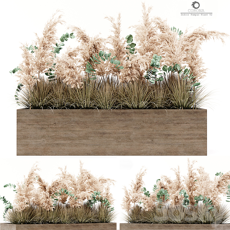 Indoor Pampas Plant 02 3DS Max Model - thumbnail 1