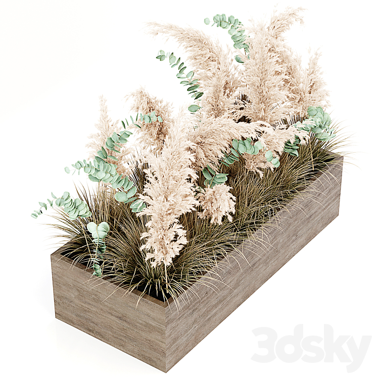 Indoor Pampas Plant 02 3DS Max Model - thumbnail 2