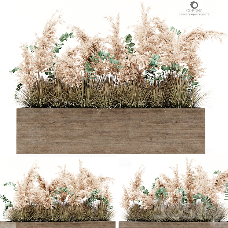 Indoor Pampas Plant 02 3DS Max - thumbnail 1