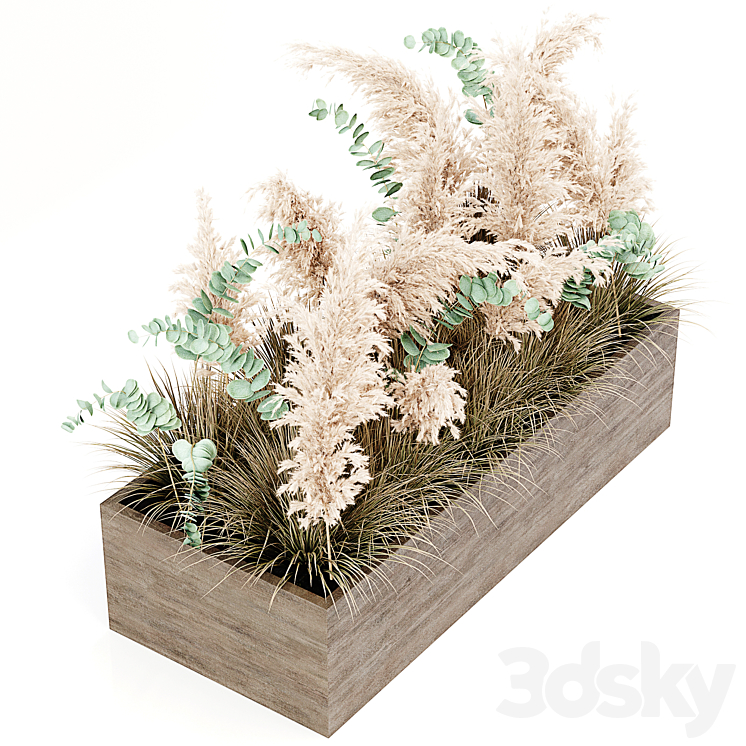 Indoor Pampas Plant 02 3DS Max - thumbnail 2