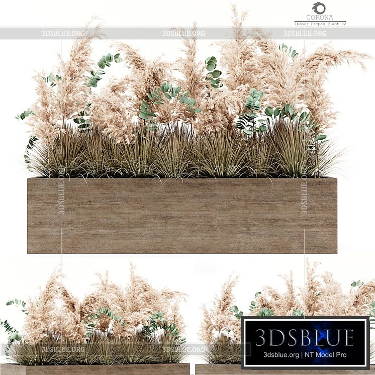 Indoor Pampas Plant 02 3DS Max - thumbnail 3