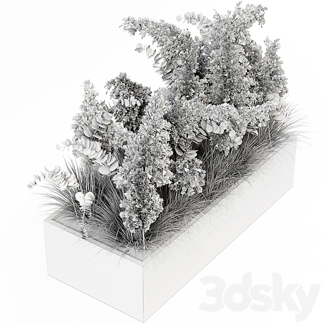 Indoor Pampas Plant 02 3DS Max Model - thumbnail 3