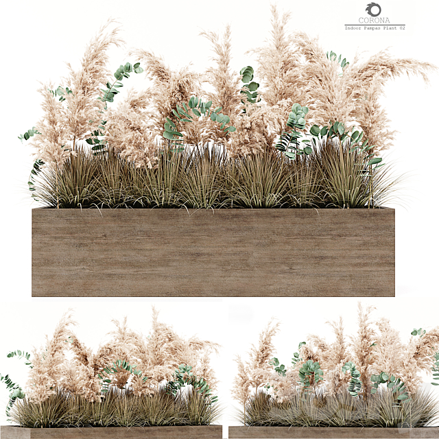 Indoor Pampas Plant 02 3DSMax File - thumbnail 1