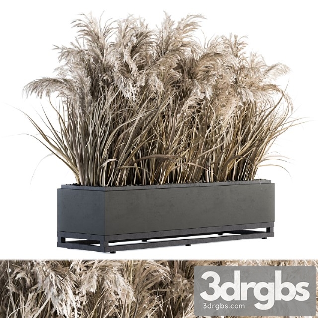 Indoor Plant Set 131 Dried Plant Box 3dsmax Download - thumbnail 1