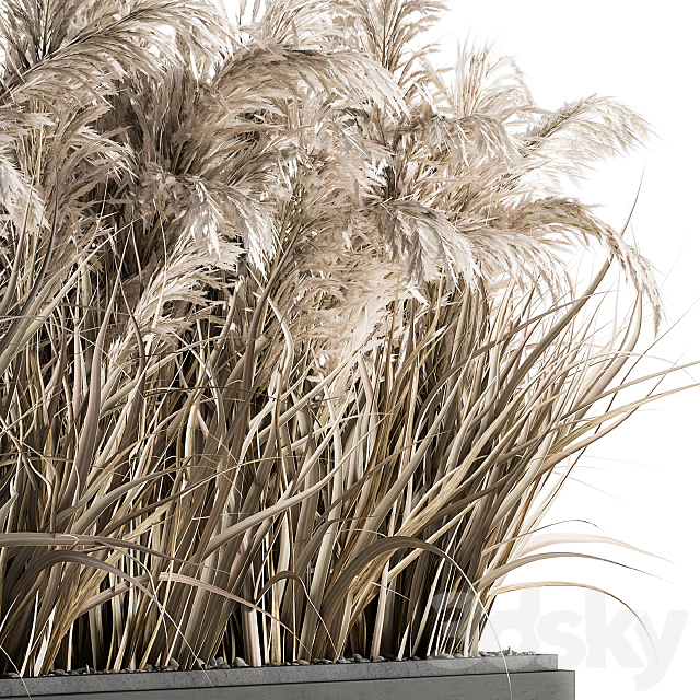 indoor Plant Set 131 – Dried Plant box 3DSMax File - thumbnail 2