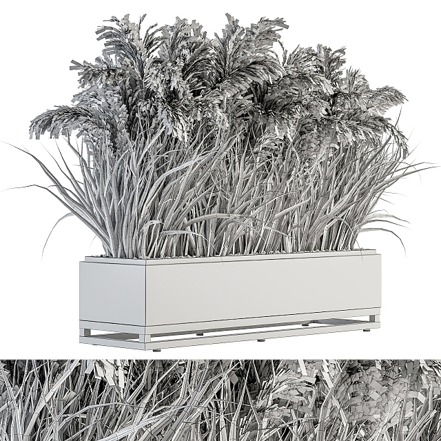 indoor Plant Set 131 – Dried Plant box 3DSMax File - thumbnail 4