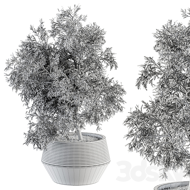 indoor Plant Set 285 – Plants Set in pot 3DS Max Model - thumbnail 3