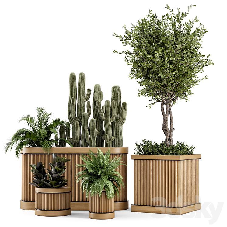 Indoor Plants Bush and Tree in Wooden Pot – Set 401 3DS Max Model - thumbnail 1