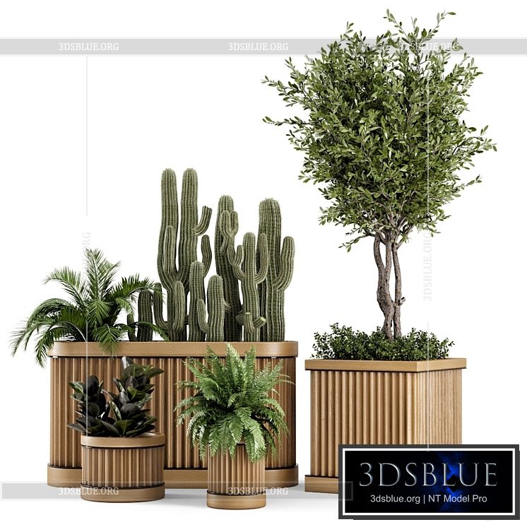 Indoor Plants Bush and Tree in Wooden Pot – Set 401 3DS Max - thumbnail 3