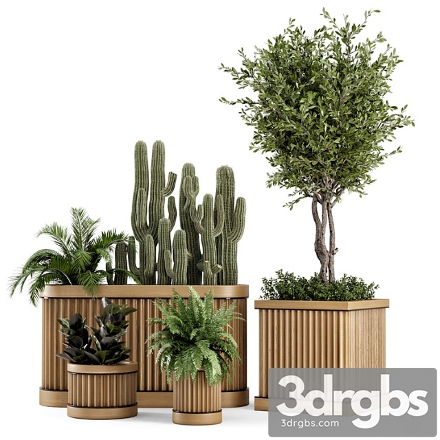 Indoor plants bush and tree in wooden pot – set 401 - thumbnail 1