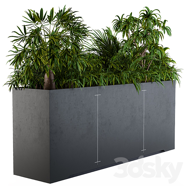 Interior Plant Box 3DSMax File - thumbnail 1