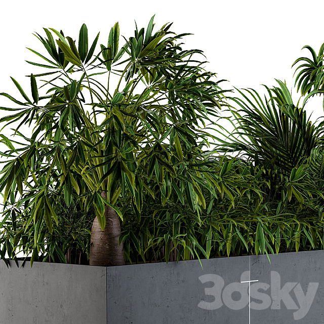 Interior Plant Box 3DSMax File - thumbnail 2